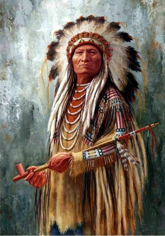 Native American 05 (2)- Full Drill Diamond Painting - Specially ordered for you. Delivery is approximately 4 - 6 weeks.