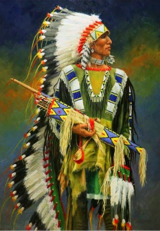 Native American 08 (2)- Full Drill Diamond Painting - Specially ordered for you. Delivery is approximately 4 - 6 weeks.