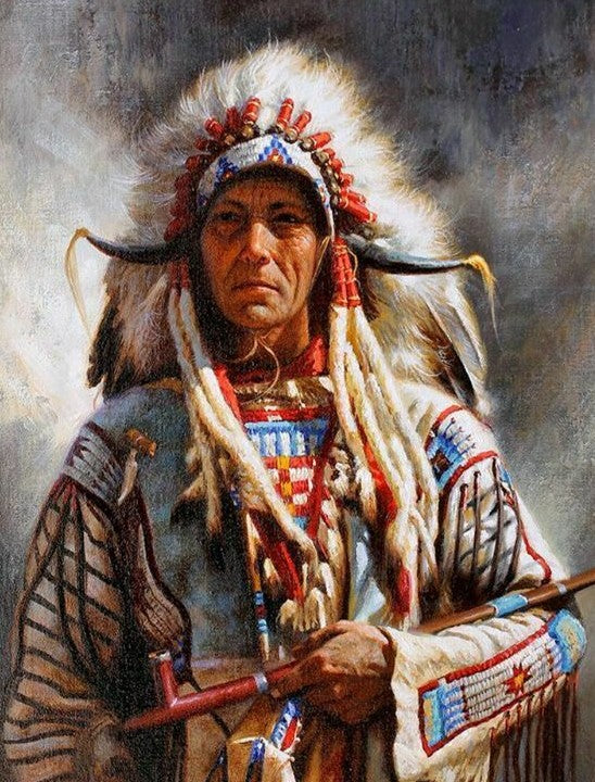 Native American 17 (2) - Full Drill Diamond Painting - Specially ordered for you. Delivery is approximately 4 - 6 weeks.