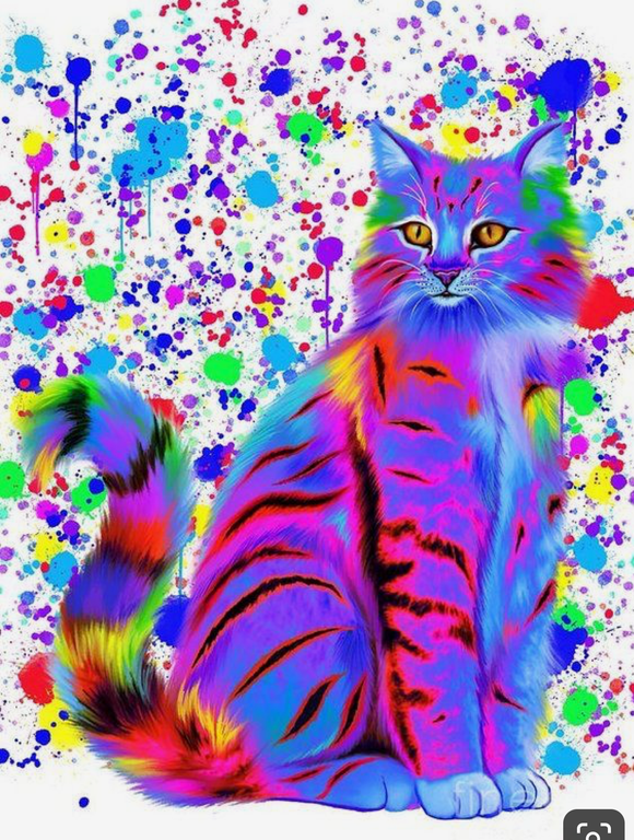Paint Splash Cat-  Full Drill Diamond Painting - Specially ordered for you. Delivery is approximately 4 - 6 weeks.