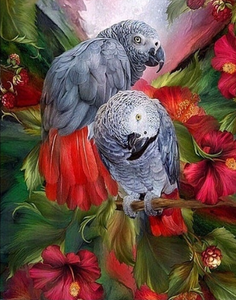 Special Order - Parrots 05 - Full Drill diamond painting - Specially ordered for you. Delivery is approximately 4 - 6 weeks.