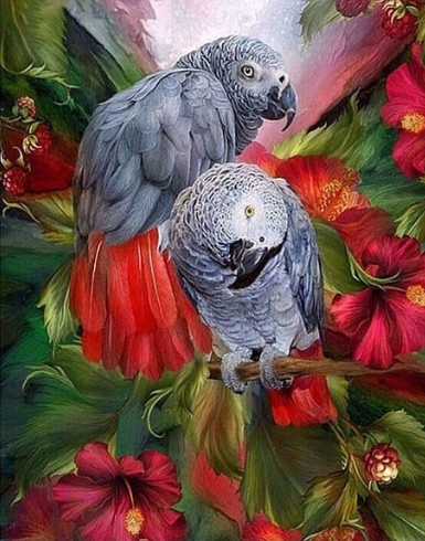 Special Order - Parrots 05 - Full Drill diamond painting - Specially ordered for you. Delivery is approximately 4 - 6 weeks.