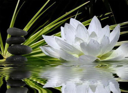Peaceful Lotus-  Full Drill Diamond Painting - Specially ordered for you. Delivery is approximately 4 - 6 weeks.