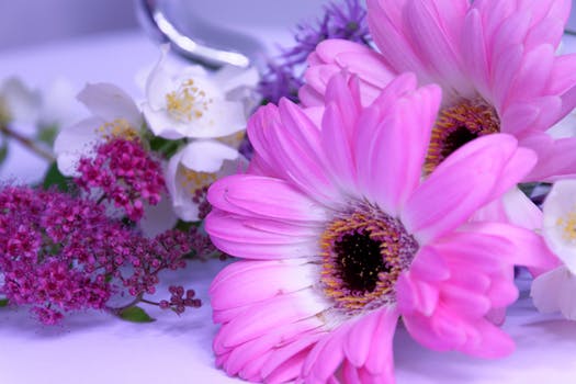 Special Order - Pink Flowers - Full Drill Diamond Painting - Specially ordered for you. Delivery is approximately 4 - 6 weeks.