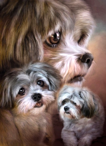 Precious Puppies 02 - Full Drill Diamond Painting - Specially ordered for you. Delivery is approximately 4 - 6 weeks.