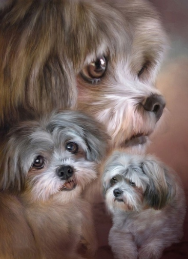 Special Order - Precious Puppies - Full Drill diamond painting - Specially ordered for you. Delivery is approximately 4 - 6 weeks.