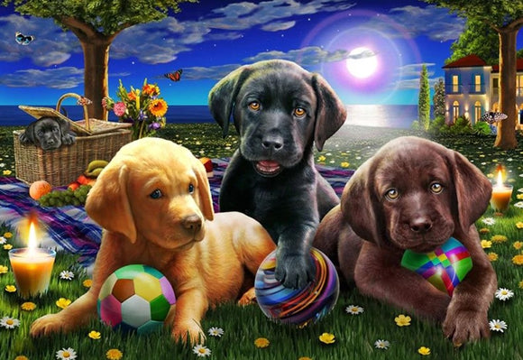 Puppies in the Park - Full Drill Diamond Painting - Specially ordered for you. Delivery is approximately 4 - 6 weeks.