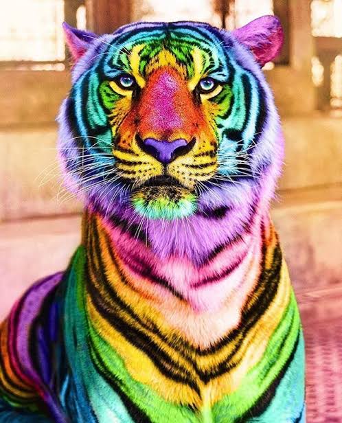 Rainbow Animals 07- Full Drill Diamond Painting - Specially ordered for you. Delivery is approximately 4 - 6 weeks.