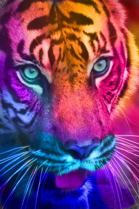 Rainbow Animals 10- Full Drill Diamond Painting - Specially ordered for you. Delivery is approximately 4 - 6 weeks.