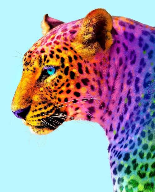 Rainbow Animals 13- Full Drill Diamond Painting - Specially ordered for you. Delivery is approximately 4 - 6 weeks.