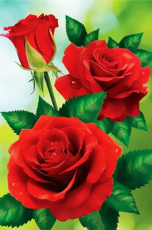 Special Order - Red Roses - Full Drill Diamond Painting - Specially ordered for you. Delivery is approximately 4 - 6 weeks.