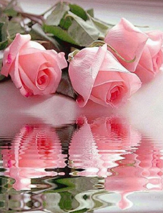 Reflection of Pink Roses - Full Drill Diamond Painting - Specially ordered for you. Delivery is approximately 4 - 6 weeks.