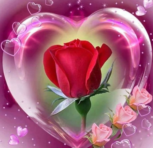 Special Order - Roses in Heart - Full Drill Diamond Painting - Specially ordered for you. Delivery is approximately 4 - 6 weeks.