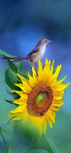 Sparrow on sunflower- Full Drill Diamond Painting - Specially ordered for you. Delivery is approximately 4 - 6 weeks.