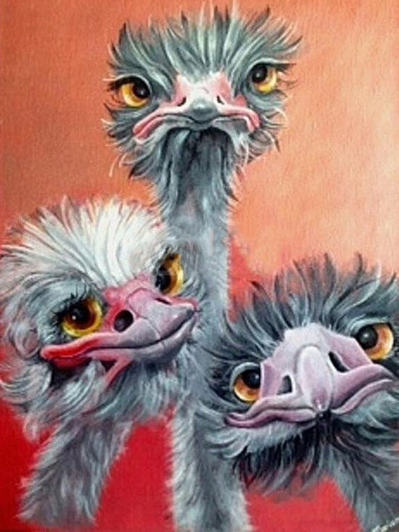 Special Order - Three Ostriches - Full Drill diamond painting - Specially ordered for you. Delivery is approximately 4 - 6 weeks.