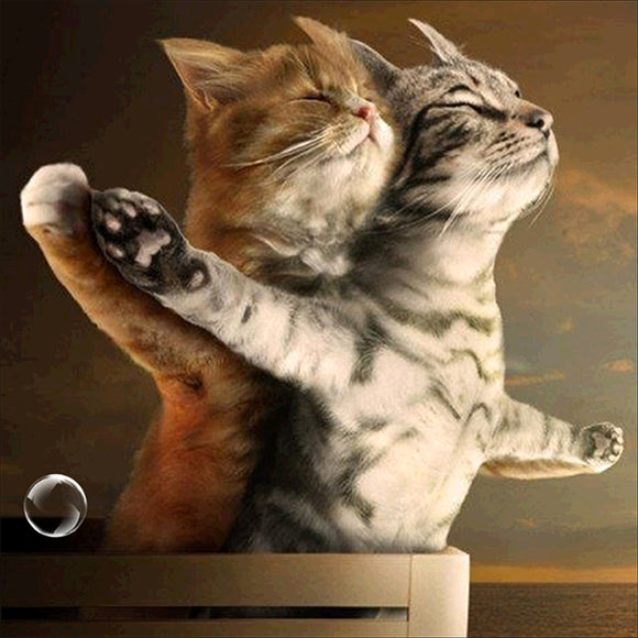 Special Order - Titanic Cats - Full Drill Diamond Painting - Specially ordered for you. Delivery is approximately 4 - 6 weeks.