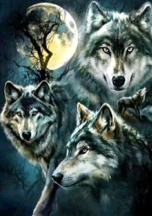 Special Order - Trio of Wolves - Full Drill diamond painting - Specially ordered for you. Delivery is approximately 4 - 6 weeks.