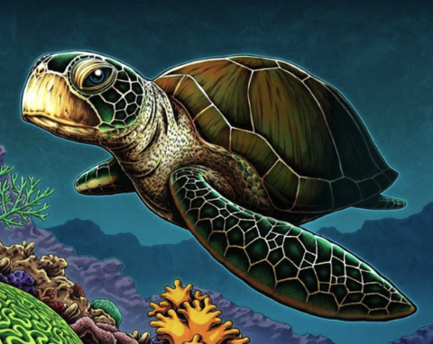 Turtle in water - Full Drill Diamond Painting - Specially ordered for you. Delivery is approximately 4 - 6 weeks.