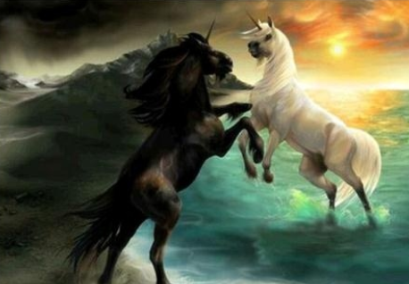 Special Order - Unicorn Fight - Full Drill Diamond Painting - Specially ordered for you. Delivery is approximately 4 - 6 weeks.