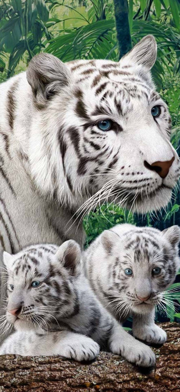 White Tigers 03- Full Drill Diamond Painting - Specially ordered for you. Delivery is approximately 4 - 6 weeks.