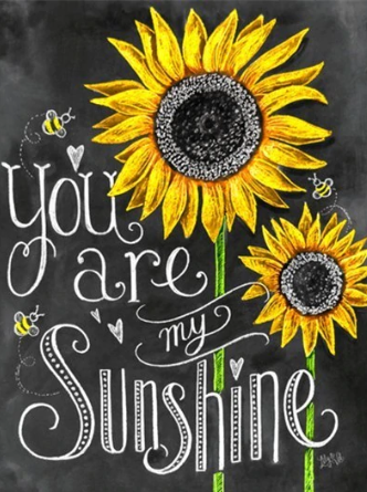 Special Order - You are My Sunshine - Specially ordered for you. Delivery is approximately 4 - 6 weeks.