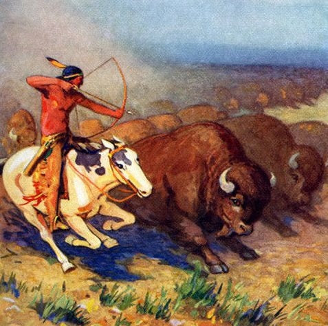 Special Order - Buffalo Indian - Full Drill Diamond Painting - Specially ordered for you. Delivery is approximately 4 - 6 weeks.