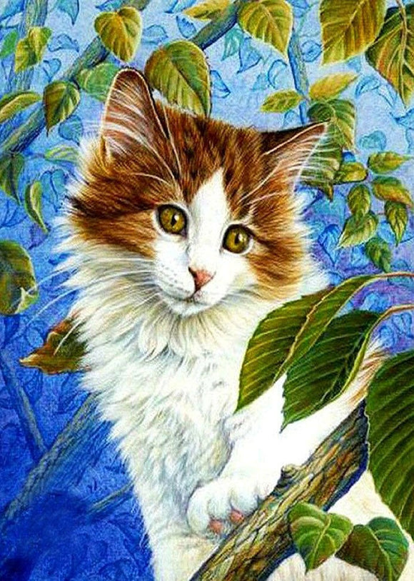 Fluffy Kitten (2)- Full Drill Diamond Painting - Specially ordered for you. Delivery is approximately 4 - 6 weeks.