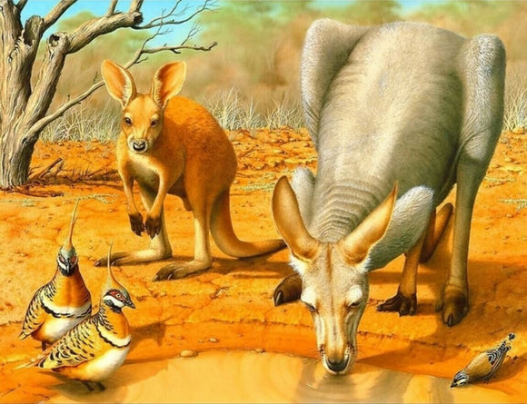 Kangaroos- Full Drill Diamond Painting - Specially ordered for you. Delivery is approximately 4 - 6 weeks.
