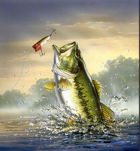 Fishing  - Full Drill Diamond Painting - Specially ordered for you. Delivery is approximately 4 - 6 weeks.
